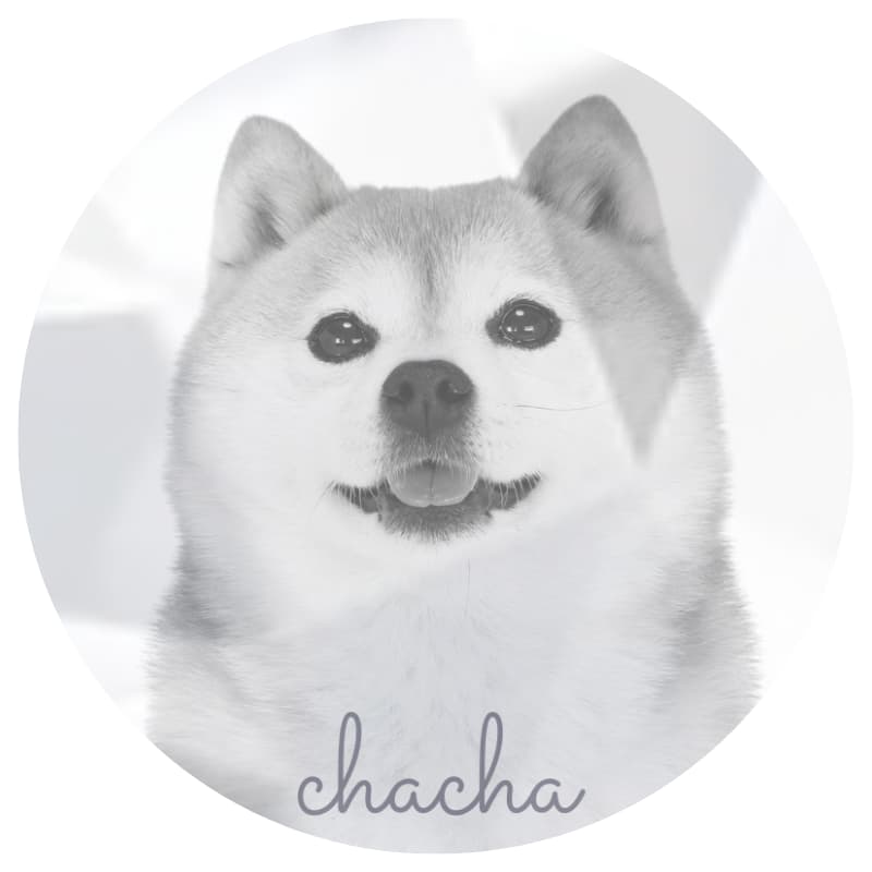 寵物照片刻印鑽石示意｜犬貓影像微雕展示